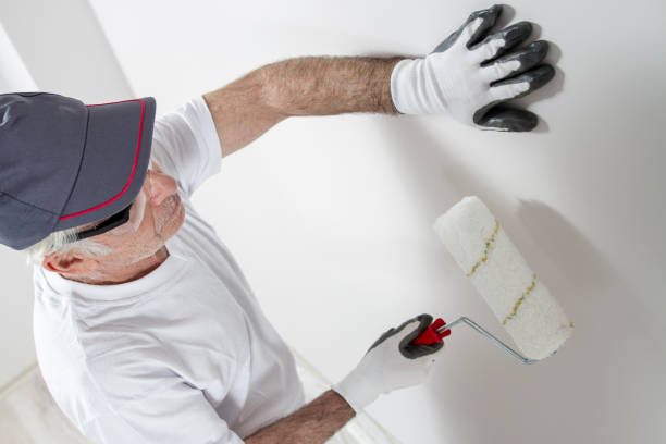 Best Mold Odor Removal Services  in Fair Haven, NJ
